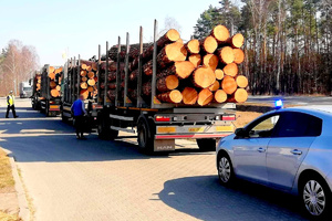 Niezabezpieczony transport drewna