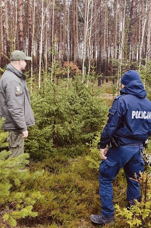 Funkcjonariusze patrolują teren leśny
